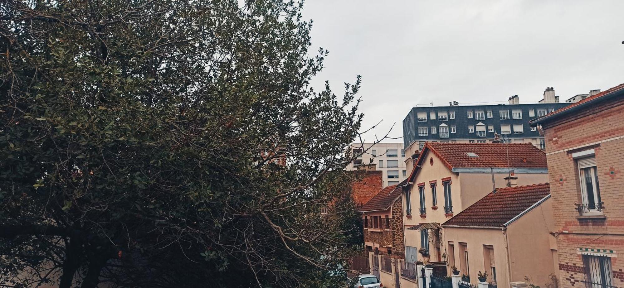 Apartament Studio Fonctionnel Et Cosy Gentilly Zewnętrze zdjęcie